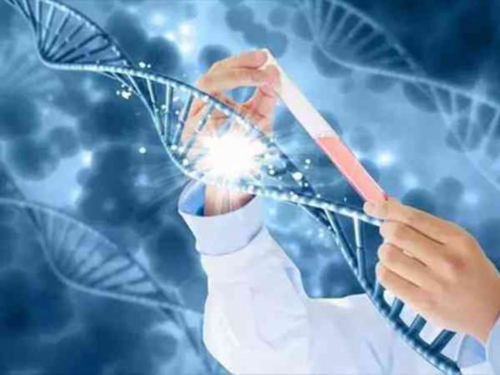 莆田试管婴儿「泰国试管」,莆田九院试管哪个医生好点？?