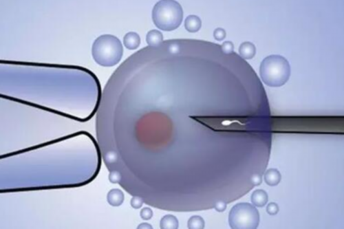 [南京二代试管婴儿可以选择性别吗?]_30017_5Rt8r_着床成功排出的白带长啥样？有