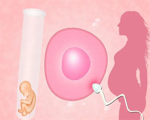 南京供卵私立 2026南京冷冻卵子的流程是怎样的？附2026南京冻卵流程一览 ‘孕