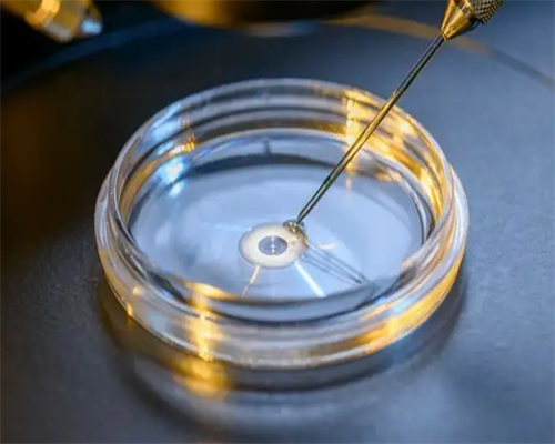 2026试管婴儿价格_三代试管婴儿_镇江试管婴儿医院推荐名单附如何科学备孕