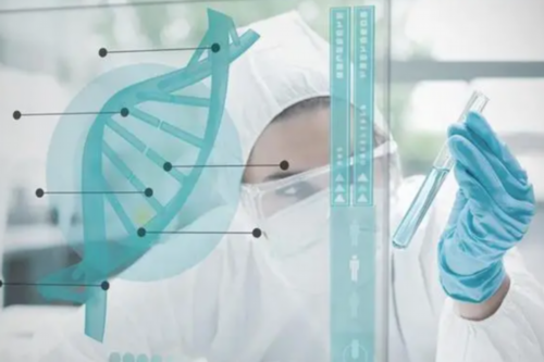 二代试管塞红包能选择性别吗_二代试管可以筛选男女吗_2026上海三代试管医院排