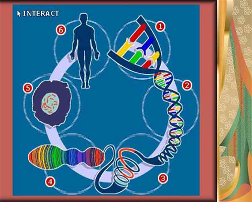 试管婴儿三代成功率_试管婴儿机率有多大_东莞第三人民医院试管婴儿成功率高
