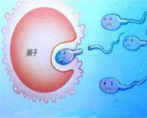 青岛试管婴儿供卵多少钱_试管做龙凤胎合法吗_胚胎解冻后升级达到几个细胞质