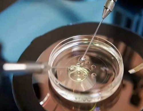 佛山供卵试管机构_试管能选择几个孩子_怀孕1-3个月生男孩的18个症状是什么？