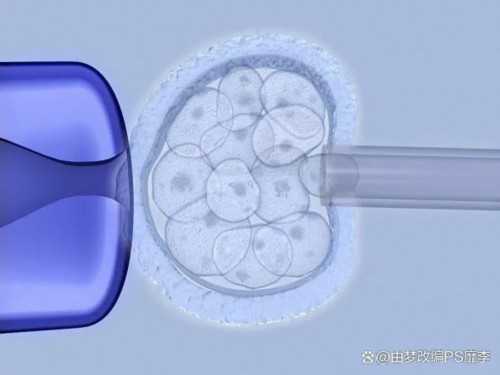 供卵试管婴儿美中宜和口碑好_国内哪里试管婴儿可以选择性别_α和β地贫哪个遗