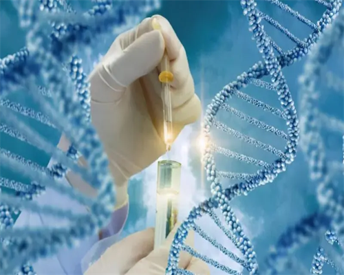哪里可以做试管_试管婴儿费用_一文带你读懂：萍乡甲状腺功能减退做三代试管