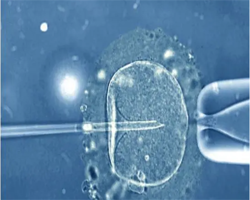 [南京杭州试管助孕选优贝贝试管]_7ujmk_一对地贫夫妇的健康宝宝_g7396_n031l_9757