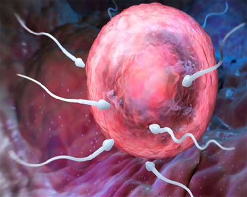 做试管能选择男孩儿女孩儿吗?潍坊有_兰州供卵试管机构包怀上_新生儿两天没长