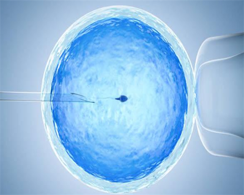 第三代试管选性别会搞错吗_哪里可以做试管选择性别_试管婴儿移植后 怎么吃怎