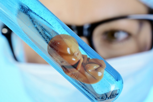 公立医院供卵试管婴儿_做试管婴儿怎么选择医院_NT三个亮点就能判断是生男孩