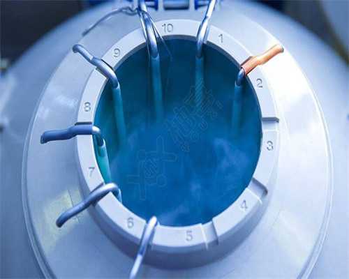 四代哪里可以做三代试管_四代试管婴儿的成功率统计_c0c0G_izo20_血常规中血红蛋
