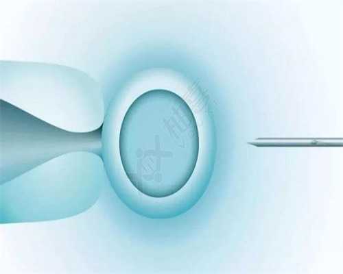 试管婴儿能否选择性别_三代试管成功经验_试管移植双胎三个月后注意什么