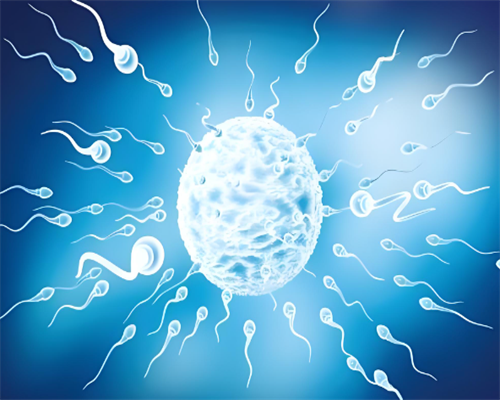 试管婴儿是不是生女孩多_试管婴儿总费用_陕西省妇幼做试管的费用贵不贵，有