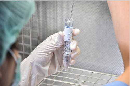 三代试管婴儿_试管婴儿需要多少费用_在上海三甲专科医院怎么报销试管婴儿费