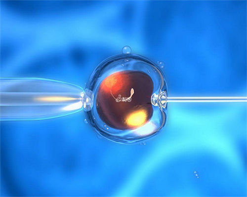 试管婴儿移植后睡姿图_试管婴儿男女可以挑吗_美国试管婴儿促排期间需注意哪