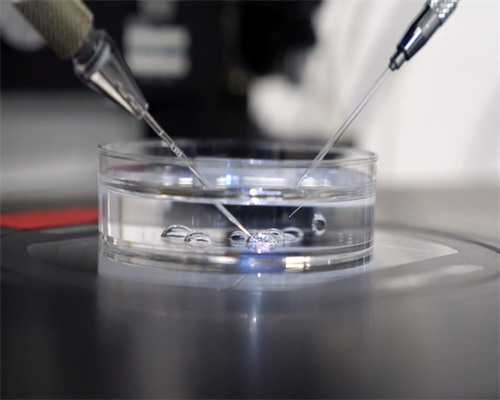 试管婴儿能选双胞胎吗_供卵试管婴儿最好的医院_良性子宫肌瘤最怕哪三种水果