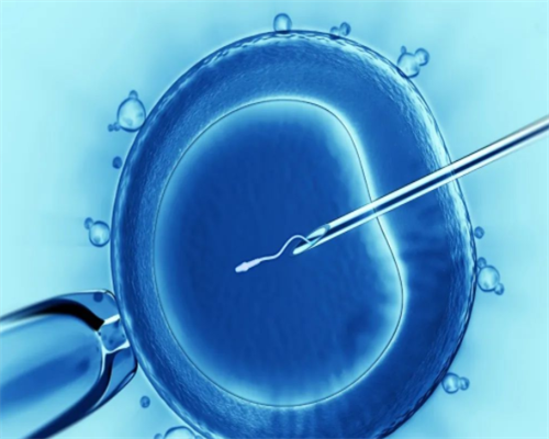 试管婴儿成功率_第三代试管婴儿的费用_34岁女子一见钟情，第一次做试管婴儿