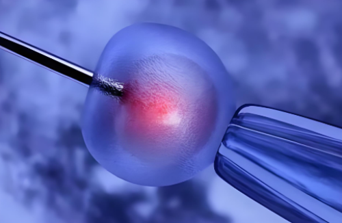 [南京几代试管能筛选性别]_73J05_n5REb_f8623_女儿突发白血病，离婚父母违背伦理，