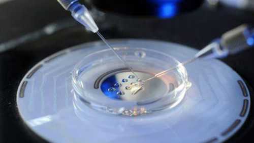 南京借卵中心 南京军区南京总医院体外受精成功率调查 ‘怀孕男孩的最初症状