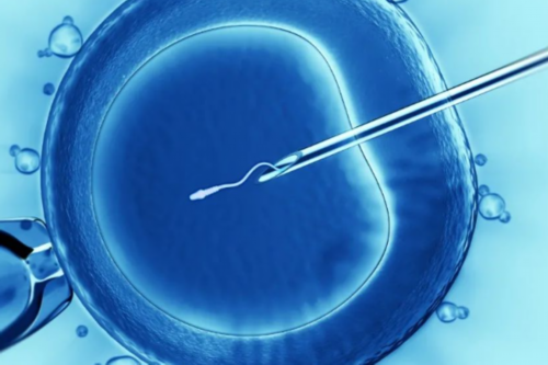 盛世中华 何以中国｜千年史诗《玛纳斯》生生不息