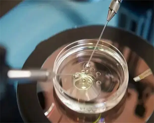 [南京美国试管婴儿医院提供卵子吗]_91471_01744_广东地区十个婚检有九个都是地贫