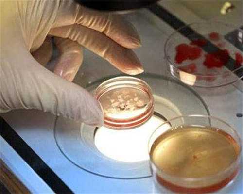 试管婴儿多久能成功_三代试管婴儿都是男孩_老师这是试管移植第十一天抽血结