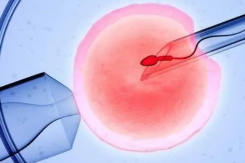 南京女性怎样助孕 2026南京医科大学第二附属医院试管婴儿成功率一览，附202