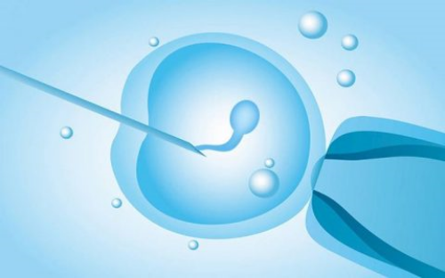 南京供卵生孩子要多少钱 南京医科大学第一附属医院; ‘nt男孩女孩对比图’