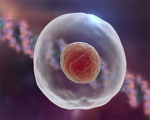 试管婴儿90%不是自己的_四代试管婴儿做一次多少钱_两步移植法移植两个胚胎成