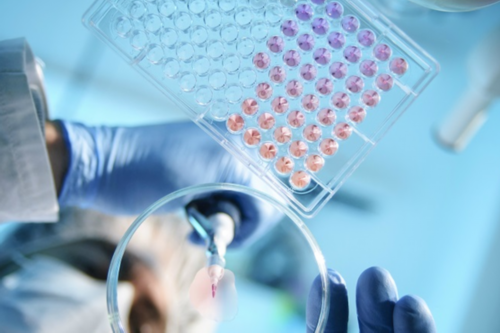 南京想找个代生小孩 南京试管包成功费用贵不贵？你的试管婴儿包成功吗？ ‘