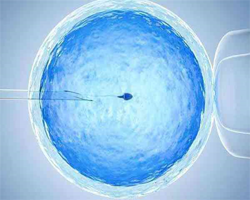 41岁试管婴儿成功率多大_试管婴儿费用多少钱_试管婴儿是不是生男的概率大？