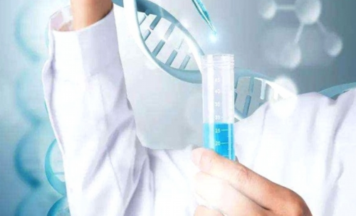 三代试管可以看男女吗_试管婴儿代孕包成功_试管促排过程