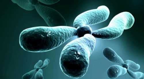 为什么月经期间会拉肚子