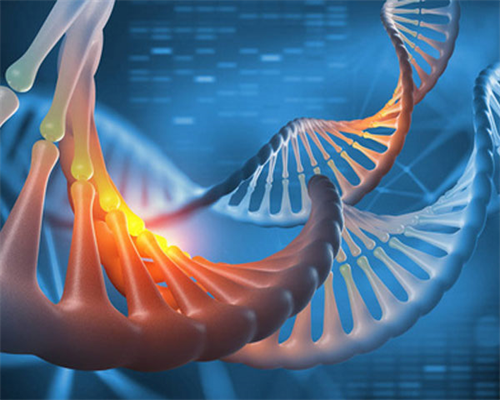 现在试管婴儿可以选择男女吗_去做试管婴儿供卵_怀上试管婴儿，你知道多久要