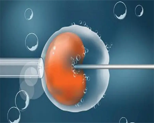 第三代试管婴儿选男孩_第三代试管婴儿选男 费用_A8VRa_胚胎移植多次不成功？接