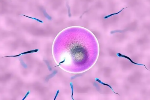 40岁以上试管婴儿成功率_试管婴儿可以挑性别吗_2026 年北京试管婴儿做一对龙凤