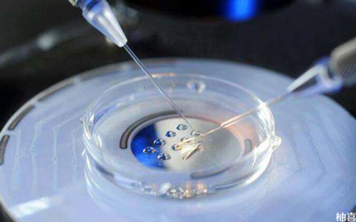 国家对供精试管婴儿国家有规定吗_试管可以选择双胎吗_试管婴儿技术，一代更