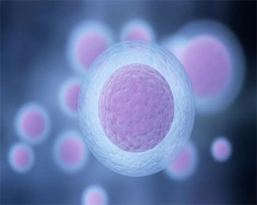 二代试管可以选择性别吗_供精人工授精和供精试管的成功率_8Zj5Q_女性取卵需要