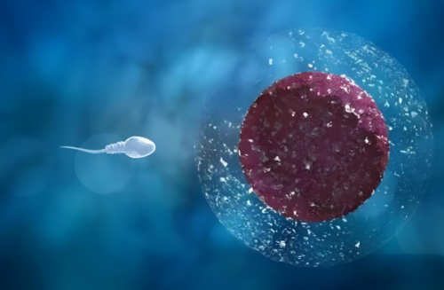 南京鼓楼生殖中心医生排名 南京鼓楼医院