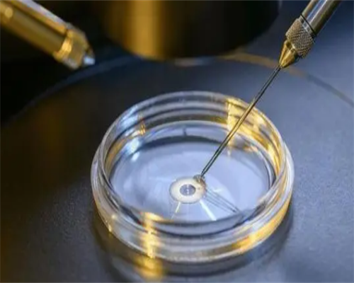 第三代试管成功率排行_试管婴儿染色体项目_想生男孩，在阿城做试管婴儿可以