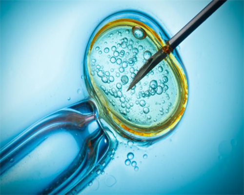 第三代试管选性别准确率_试管婴儿全程需多少天_试管之路日记之我的胚胎报告