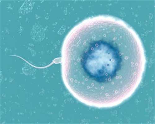 南京试管代怀成功率最高 2026年在南京鼓楼申请供卵三代试管婴儿费用大概多少