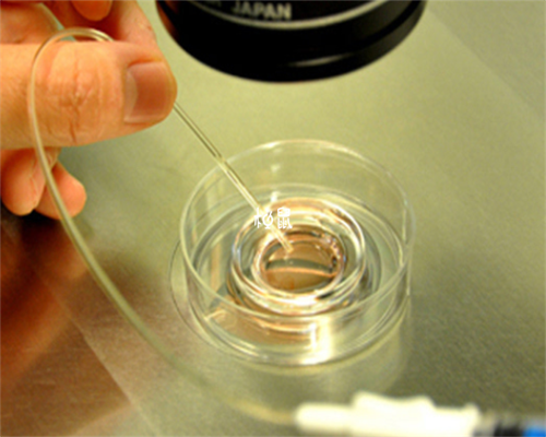 第四代试管婴儿费用_试管助孕有什么缺陷_黑龙江大庆油田乘风医院生殖科能做