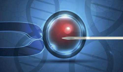 三代试管可以看男女吗_试管婴儿代孕包成功_做第三代试管婴儿会痛苦吗？来看