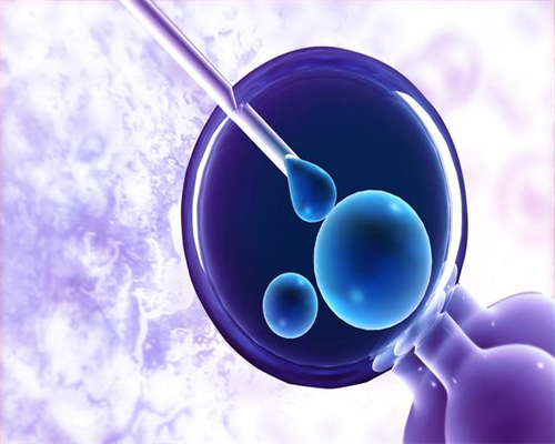 试管走后门可以选性别_卵巢早衰借卵试管生了孩子会好吗?_北京人工受孕哪个医