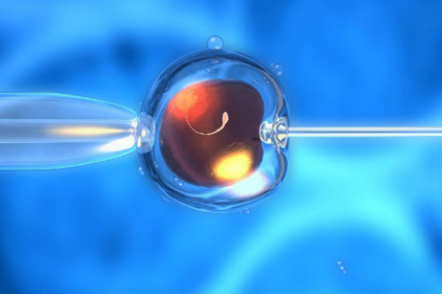 南京生殖助孕机构 南京能够供卵的私营医院有哪些? ‘唐筛数据看男女准吗’