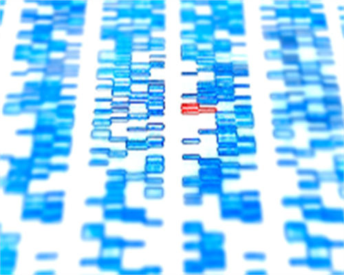 5次供精人授2次供精试管_男方哪些因素可以选择试管婴儿技术?_宫腔灌注手术流