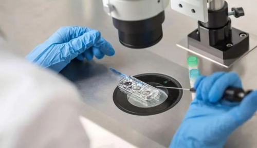 南京代孕选男女费用 一、南京妇幼保健院供精试管婴儿流程： ‘孕妇尿里加酒