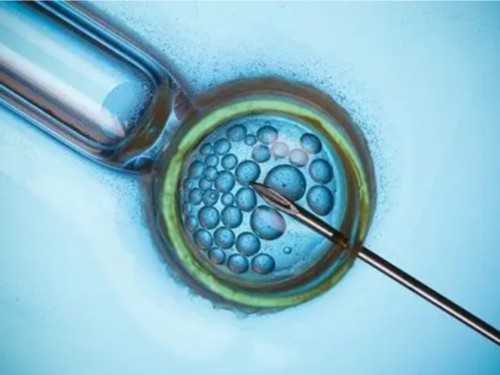 三代试管价格_试管长方案过程_试管婴儿移植后要住院吗？精活速