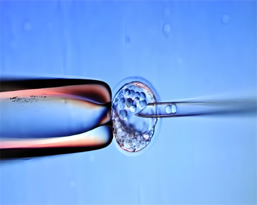 做四代试管婴儿的陷阱_四代试管婴儿包成功的多少钱_拉萨供借卵机构 最新拉萨